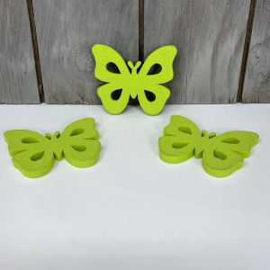 n122003-1-img_e6550_papillon_vert