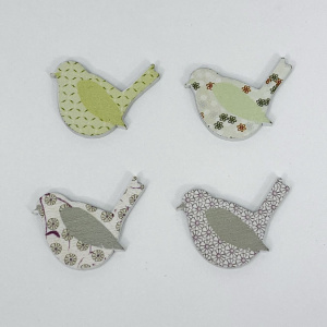 Oiseaux X6