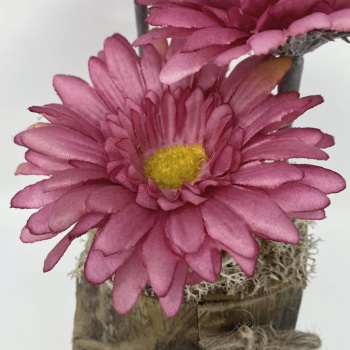 a22072-7-img_e6184_deco_florale_gerberas_coeur