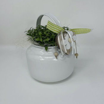 a22075-1-img_e6199_deco_florale_theiere_plante