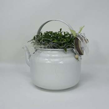 a22075-2-img_e6198_deco_florale_theiere_plante