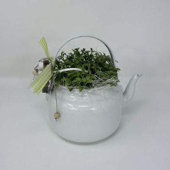 a22075-4-img_e6201_deco_florale_theiere_plante
