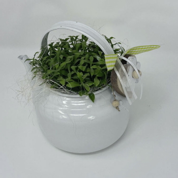a22075-8-img_e6205_deco_florale_theiere_plante
