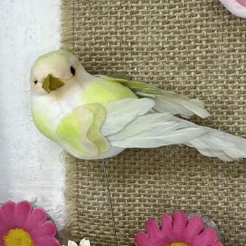a22091-6-img_e6324_cadre_petits_oiseaux