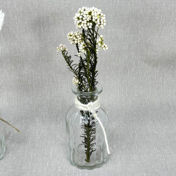 a22123-3-img_e7452_vase_fleur_sechee