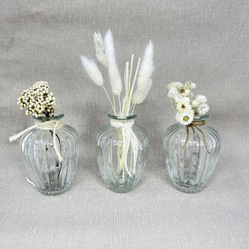 a22126-1-img_e7466_ensemble_3_vases_fleurs_sechees