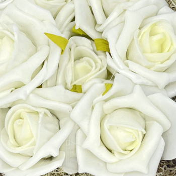 a22164-3-img_e7782_plateau_roses_blanches