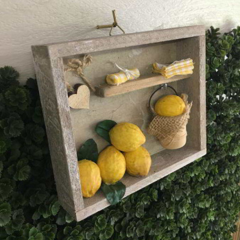 cadre_citrons-07