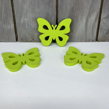 n122003-1-img_e6550_papillon_vert
