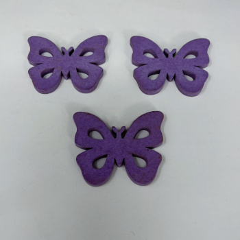 n122006-2-img_e6560_papillon_violet