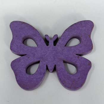 n122006-4-img_e6562_papillon_violet