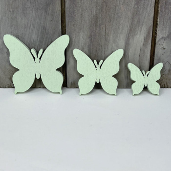 n122009-1-img_e6608_papillon_vert