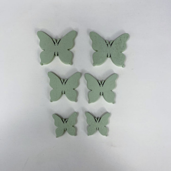 n122009-2-img_e6604_papillon_vert