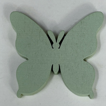 n122009-4-img_e6607_papillon_vert