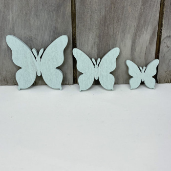 n122010-1-img_e6612_papillon_bleu