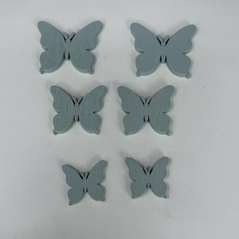 n122010-2-img_e6609_papillon_bleu