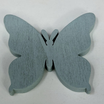 n122010-3-img_e6611_papillon_bleu
