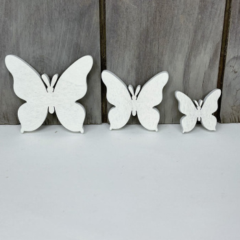n122011-1-img_e6615_papillon_blanc