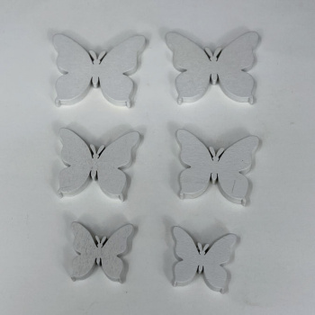 n122011-2-img_e6613_papillon_blanc