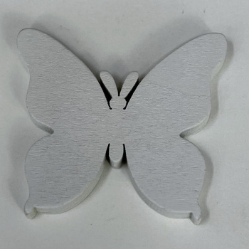 n122011-3-img_e6614_papillon_blanc