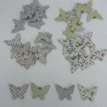 n122014-3-img_e6668_papillon_mini_fleurs