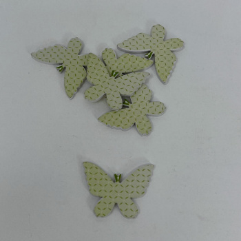 n122015-1-img_e6663_papillon_antennes_vertes