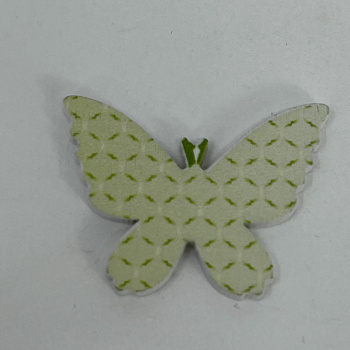 n122015-2-img_e6664_papillon_antennes_vertes