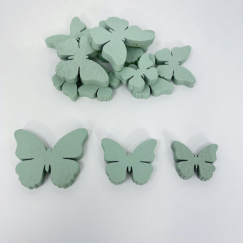 n122018-1-img_e6751_papillon_vert