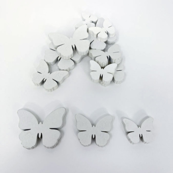 n122019-1-img_e6753_papillon_blanc