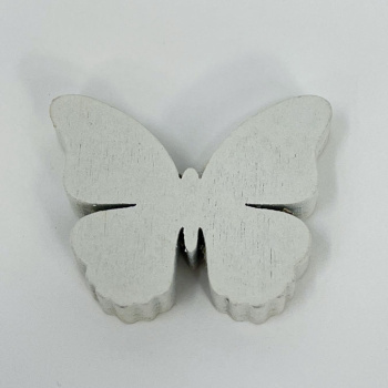 n122019-2-img_e6754_papillon_blanc