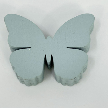 n122020-2-img_e6756_papillon_bleu