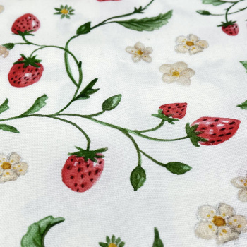 n122051-3-img_e7016_chemin_de_table_fraise