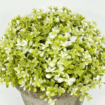 Plante Artificielle